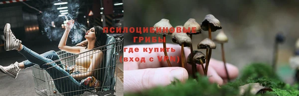 spice Волоколамск