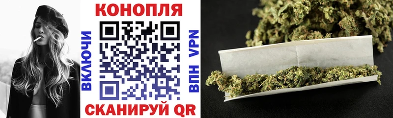 ссылка на мегу ТОР  дарнет шоп  Чкаловск  Бошки Шишки OG Kush 